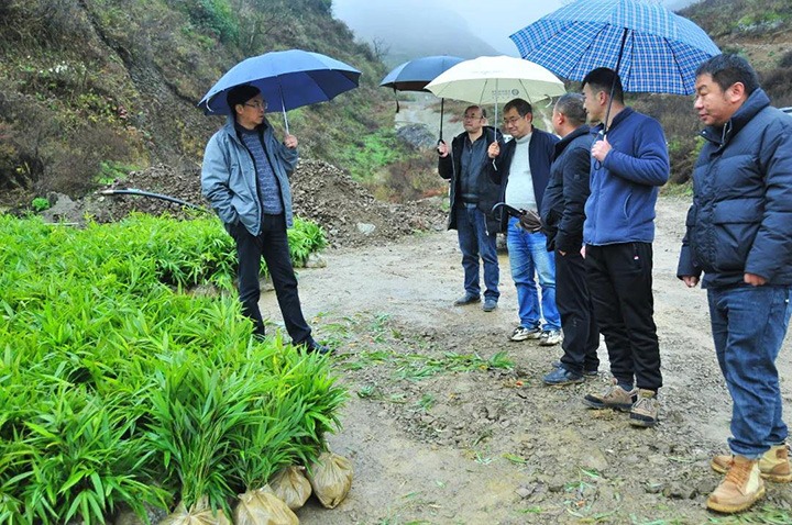 集团党委副书记、总经理高建嵩一行深入乡村振兴挂钩帮扶点寿山镇调研